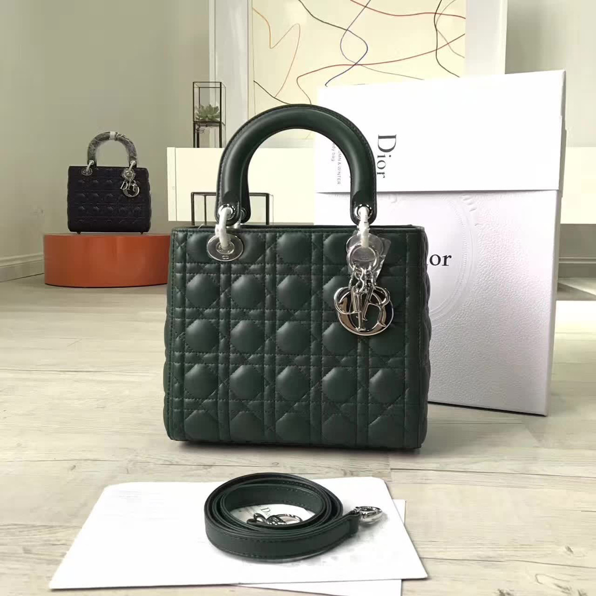 cohotbag lady D10r 1574