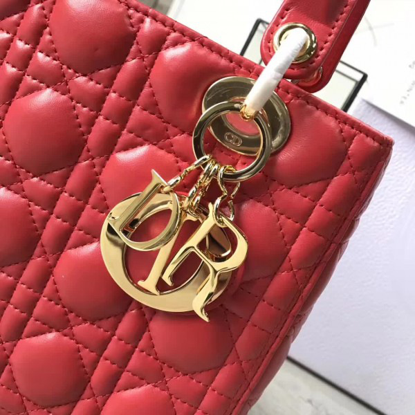 cohotbag lady D10r 1584