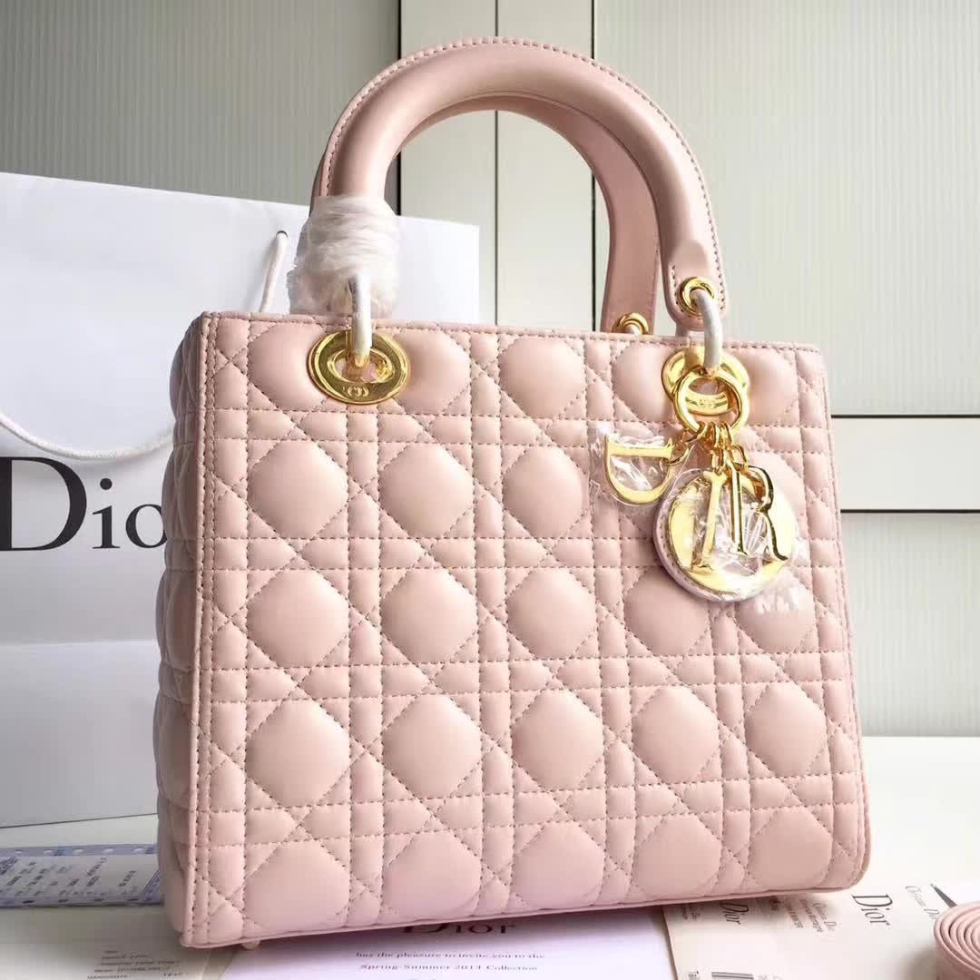 cohotbag lady D10r 1570