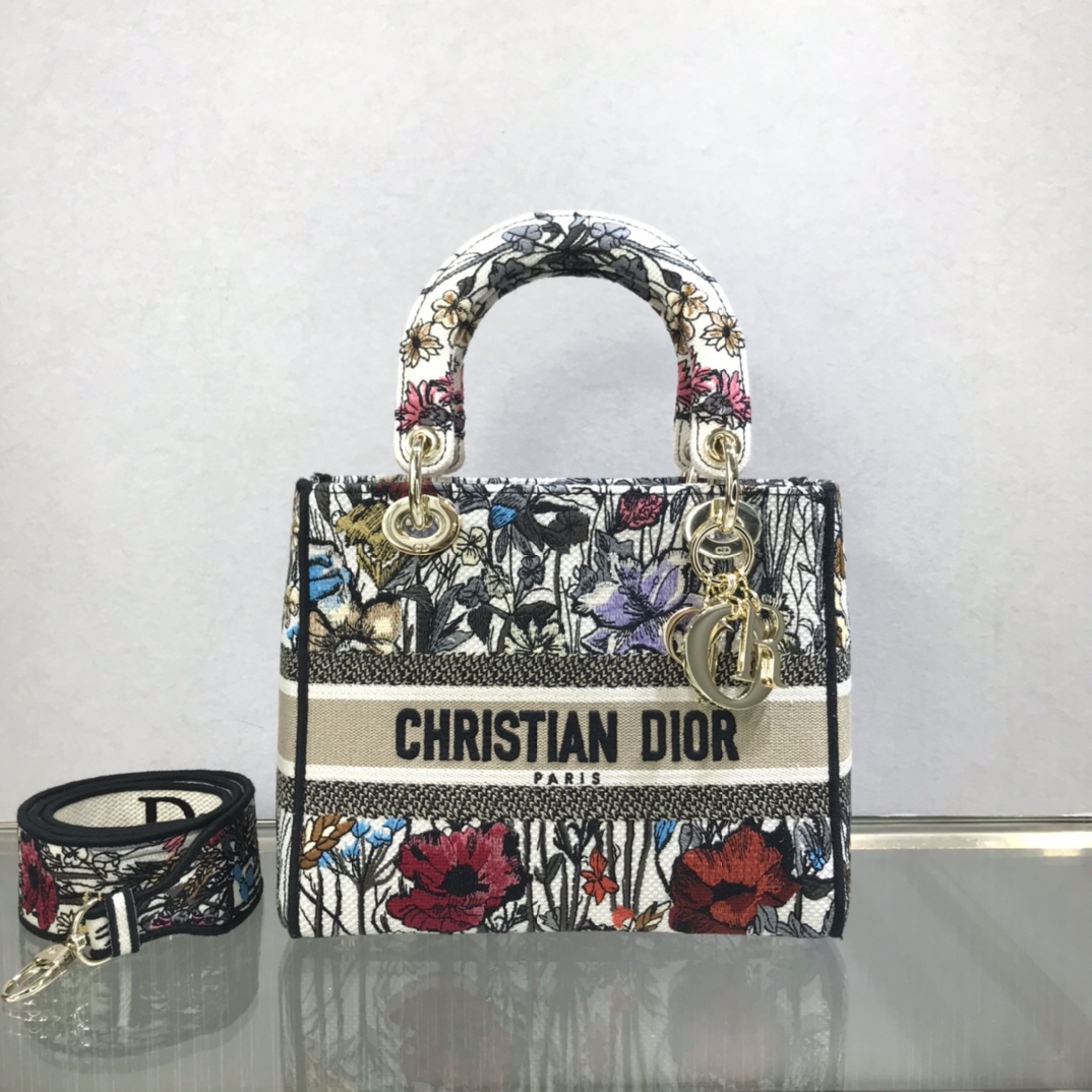D10r medium lady d-lite bag latte multicolor D10r constellation embroidery m0565 24 x 20 x 11 cm