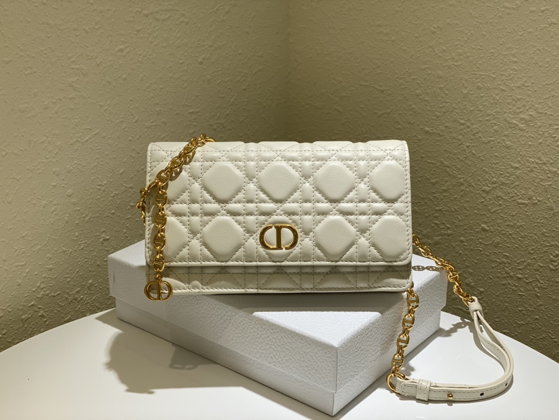 d10r caro belt pouch with chain S*pple cannage calfskin white s5091 20 x 11.5 x 3.5 cm