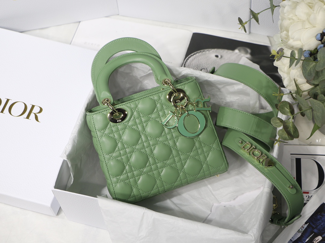 D10r lady D10r my abcD10r bag green m0538 20cm