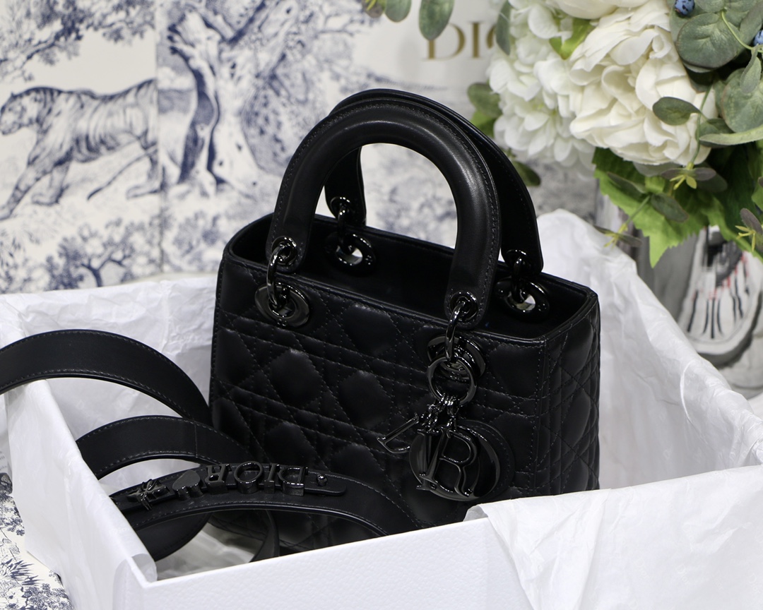 D10r lady D10r my abcD10r bag black m0538 20cm